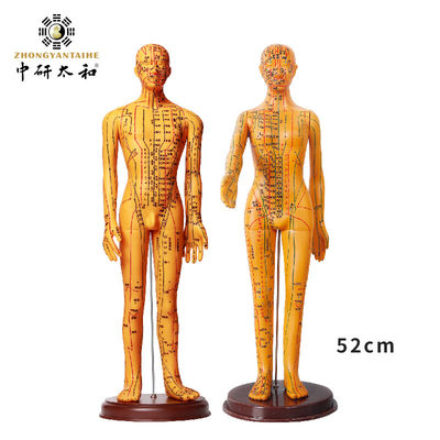 مدل طب چینی انعطاف پذیر و طب سوزنی برای آموزش پزشکی