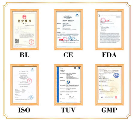 تصویر دقیق و واقعی از بدن انسان مدل بدن طب سوزنی قابل حمل سبک وزن و آسان برای حمل برای آموزش پزشکی