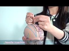 اکوپونکتوری گوش Hwato سوزن های فشار موثر گردش خون را افزایش می دهد 0.22 * 1.5mm